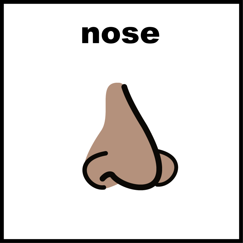 Nose