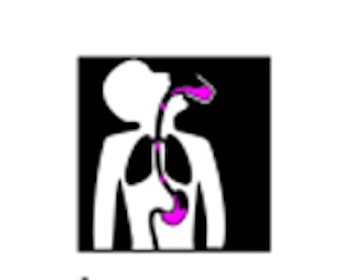 Having a barium swallow and meal test.