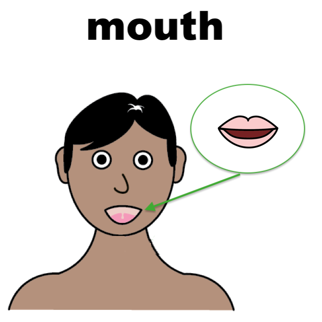 Mouth