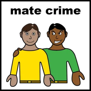 Mate crime