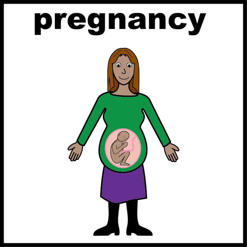 Pregnancy