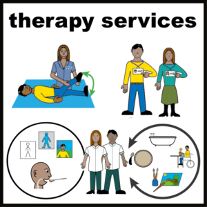 Therapy services